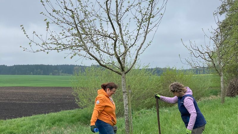 Pflegemaßnahmen in Storchenwald I und II